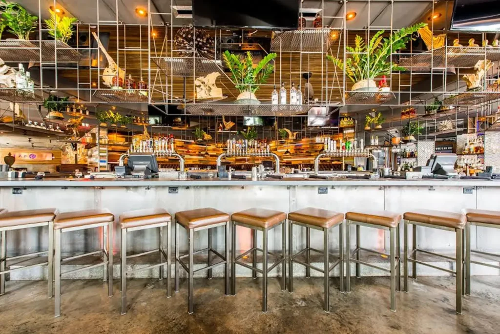 Bar with stools beneath a ceiling of hanging greenery at Tap 42 Coral Gables